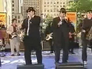 Blues Brothers - Flip Flop and Fly
