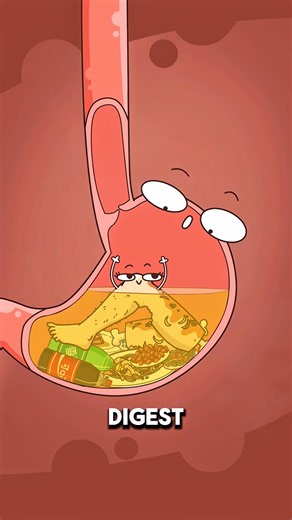 Why Do Some People Poop Right After Eating 💩⚠️..!!#e2dhealth #animation #2dshow #health #fypシ