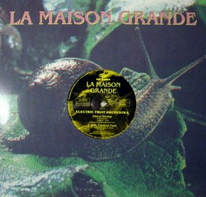 Electric Fruit Orchestra - Disco Stomp