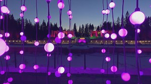 How Luminaria lighting design comes to life
