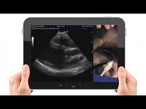 Veterinary Imaging Education Portal by Sound-Eklin