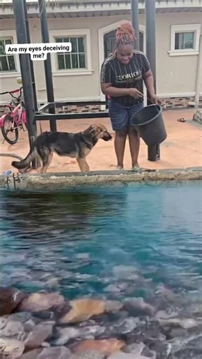 Dog going to take bath #Shorts #ytshorts #viralshort