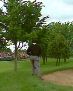 992K views · 4.1K reactions | “The best shot I ever hit.”  We think about this shot from Tiger Woods nearly every day. #PGAChamp | #TopShotTuesday | PGA Championship | Facebook