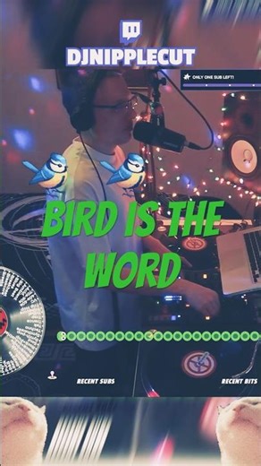 Bird is the word #dj #twitch