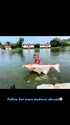 Hooking a Monster Mekong Giant Catfish in Thailand