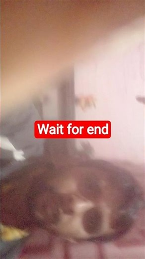 😱#wait for end#short viral#😝YouTube short#😅#short film