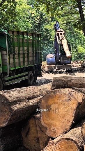 #woodworking #exavator #workout #carpentry #carpenter #logging