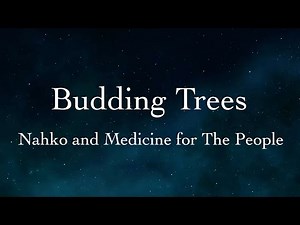Budding Trees //Lyric Video// By Nahko and Medicine for the People