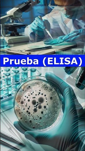 🧪Prueba ELISA🧪