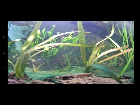 WEZEAL Live Stream with non copy wright music. brought to u by Spotify.