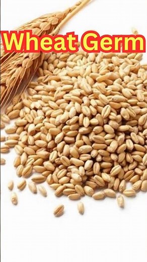 WHEAT GERM - Healthy Diet with Whole Grains #shorts #youtubeshorts