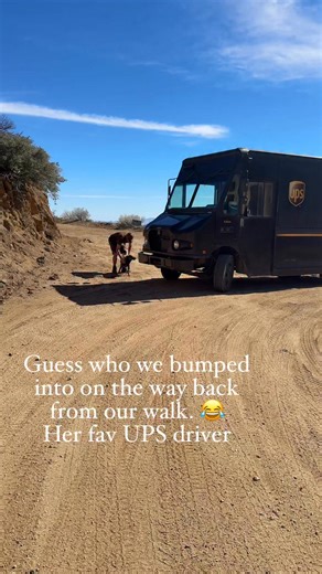 Julia Bellini on Instagram: "She is definitely part Mountain Goat 😂 * "Be sure to Hit the share button to spread the positivity!" #FurryFriends #dog #dogoftheday #puppylove #dogmom #purelove #doghumor #funny #funnydog #cattledog #dogcomedy #princesstheblueheeler #princess #puppydog #humor #heelersofinstagram #heeler #blueheeler #dogsofinstagram #dogsofinsta #heelers #heeler #petcare #petfriendly #petlove #dogs #pet"