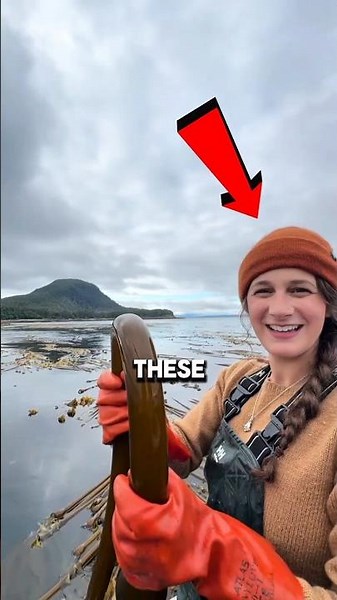 #explore