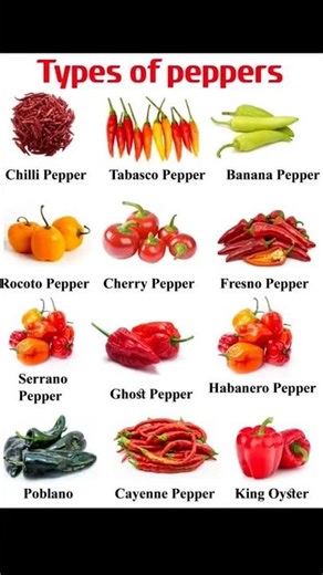Types of pepper🌶️🌶️//Name of peppers in English language #pepper #mirchi #english #englishgrammar