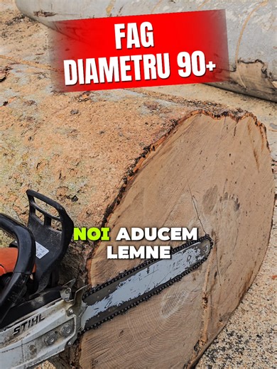 Videoclipuri postate de DEPOZIT LEMNE COPALAU (@depozit.lemne.copa) cu sunet original - DEPOZIT LEMNE COPALAU