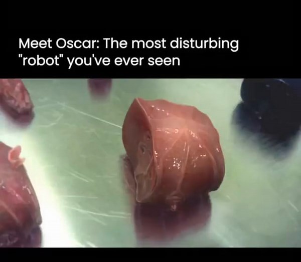 Meet Oscar: The most disturbing "robot" you've ever seen - iFunny