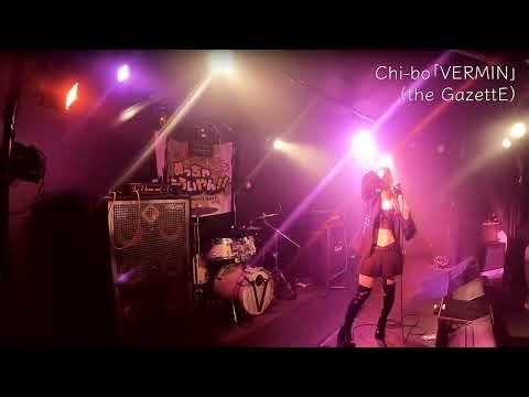 2026/2/15 Chi-bo「VERMIN」（the GazettE）@京都AFTERBEAT