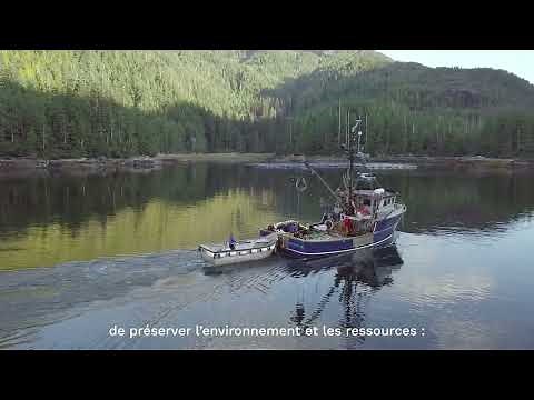 En coulisses : le saumon d'Alaska