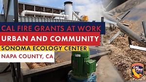 19K views · 170 reactions | Turning waste into a win. ♻ Instead of...