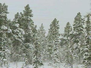 Arctic Survival Ray Mears S1E2 Part 1