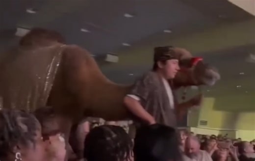Woman survives camel kick during Christmas performance at Houston-area church