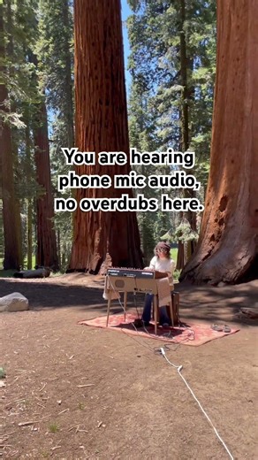 We set up our vintage keyboards in the middle of a National Park