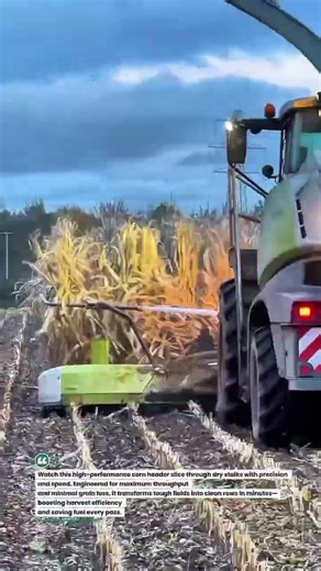 High-Speed Corn Header Beast in Action! 🌽🚜 #HarvestTech #AgriPower #FarmLife