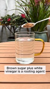 34K views · 368 reactions | #garden #nature #flowers #gardening #plants #flower #photography #naturephotography #green #love #gardenlife #summer #gardendesign #jardin #garten #beautiful #landscape #spring #plant #gardeninspiration #home #naturelovers #macro #mygarden | The Secret Garden | Facebook