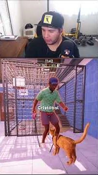 Animal Shelter Simulator 2