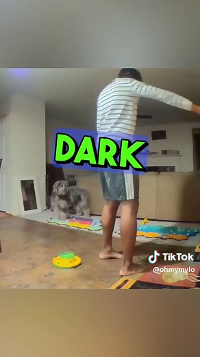 Season 3 Mayhem with Talking Dog Milo | Oh My Mylo