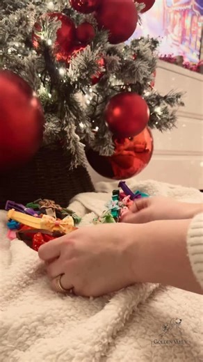 new collar unlocked for our pink collar princess 🤍 #christmas2025 #goldenretriever #goldenretrieverpuppy #goldenpuppies #goldenretrieverlife | Golden Valley Retrievers