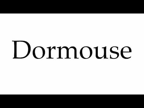 How to Pronounce Dormouse