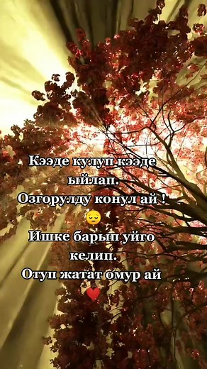 Stunning Close-Up of Red Maple Leaves