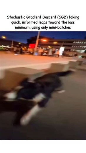 Ashish Singh | Stochastic Gradient Descent out here skipping the queue, making educated guesses, and still reaching the loss minimum faster than your... | Instagram