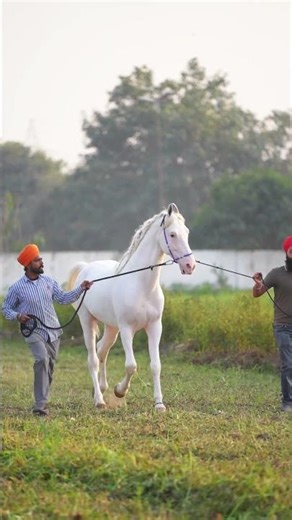 FULL INTERVIEW OUT NOW⛳️✅