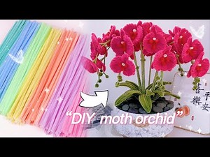 DIY moth orchid/扭扭棒蝴蝶兰教程