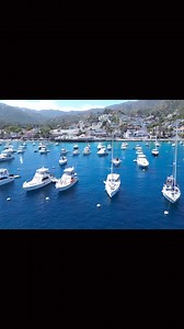 2.3K views | There’s a new restaurant on Catalina Island. #VisitCatalinaIsland #CatalinaExpress | David Alan Arnold | Facebook