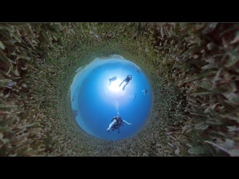 Saint Lucia Scuba Diving 360 camera 4k