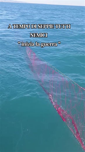 🦑 SEPPIA SI , O SEPPIA NO?? 🦑#😱😱😱😱😱😱😱😱😱😱 #passione #PESCA #seppia @🧨🎣🦈 il pescatore 🦈🎣🧨