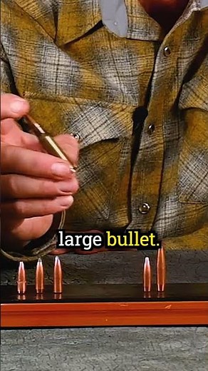 The Truth about the 308 Winchester