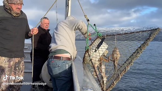 Driftwoodwildernesslodge on TikTok