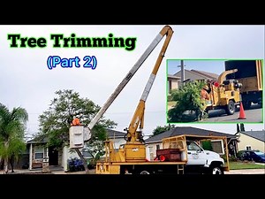 Tree Surgeon (Tree Trimming)｜COMPLETE PROCESS｜Bucket Truck ｜Wood Chipper｜Leaf Blower （Part 2/7)