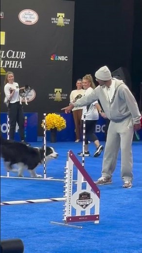 Tyrese Maxey walks a dog in the 2025 National Dog Show