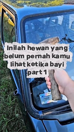 hewan ketika bayi #viral #shorts #youtubeshorts #fyp #funny