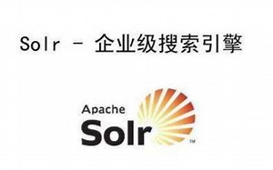 【编程不良人】solr 企业级搜索引擎