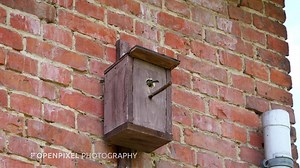 4 comments | This is the first test with our new Panasonic Lumix DC-GH5. Outstandig video features: internal recording in 4K, 10 Bit 422 and slow motion in full HD 180 fps | OPENPIXEL PHOTOGRAPHY | Facebook