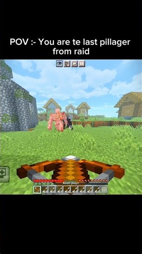 Last pillager from raid