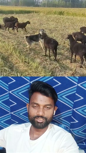 sukoon 🥰🤪🤣🤣🤪💞