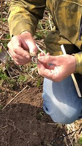 336 reactions · 10 comments | 1,000-year-old artifacts found at...