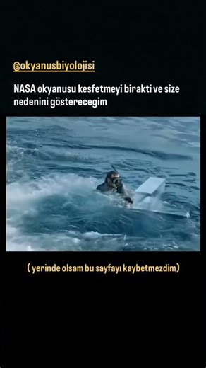 Sharks Aren't the Real Problem Down There #oceanmystery #deepwater #exploration